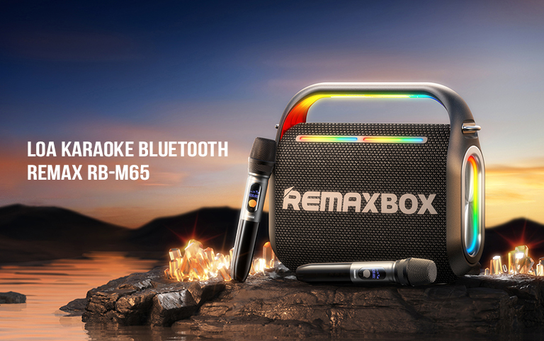 Remax RB-M65